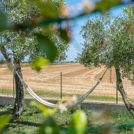 Ortopi Country Canapa House Porto Recanati Eksteriør billede