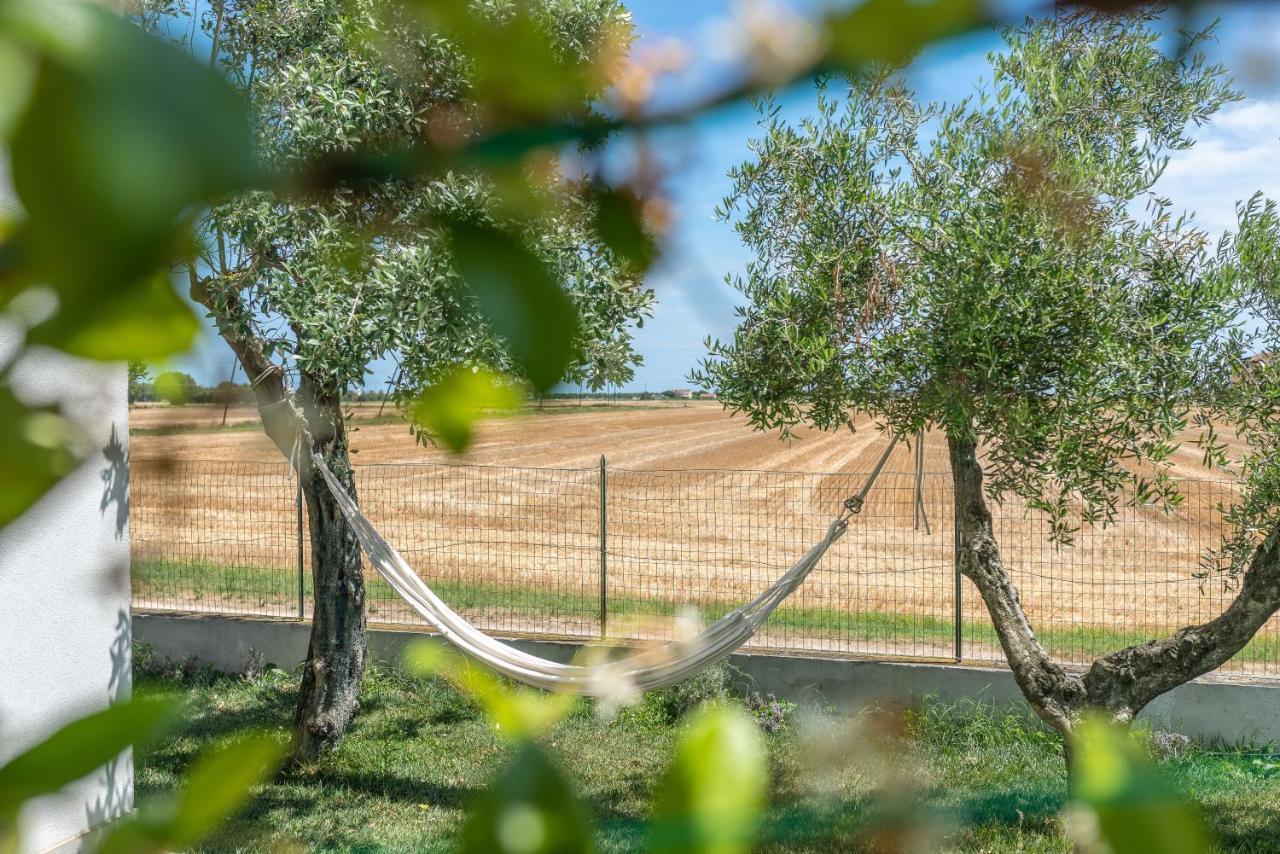 Ortopi Country Canapa House Porto Recanati Eksteriør billede