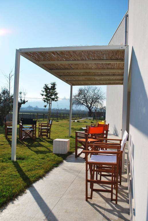 Ortopi Country Canapa House Porto Recanati Eksteriør billede